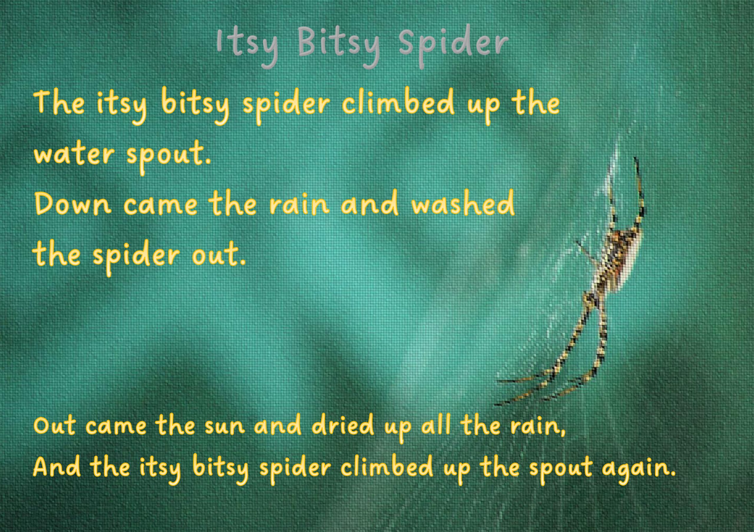 Itsy Bitsy Spider