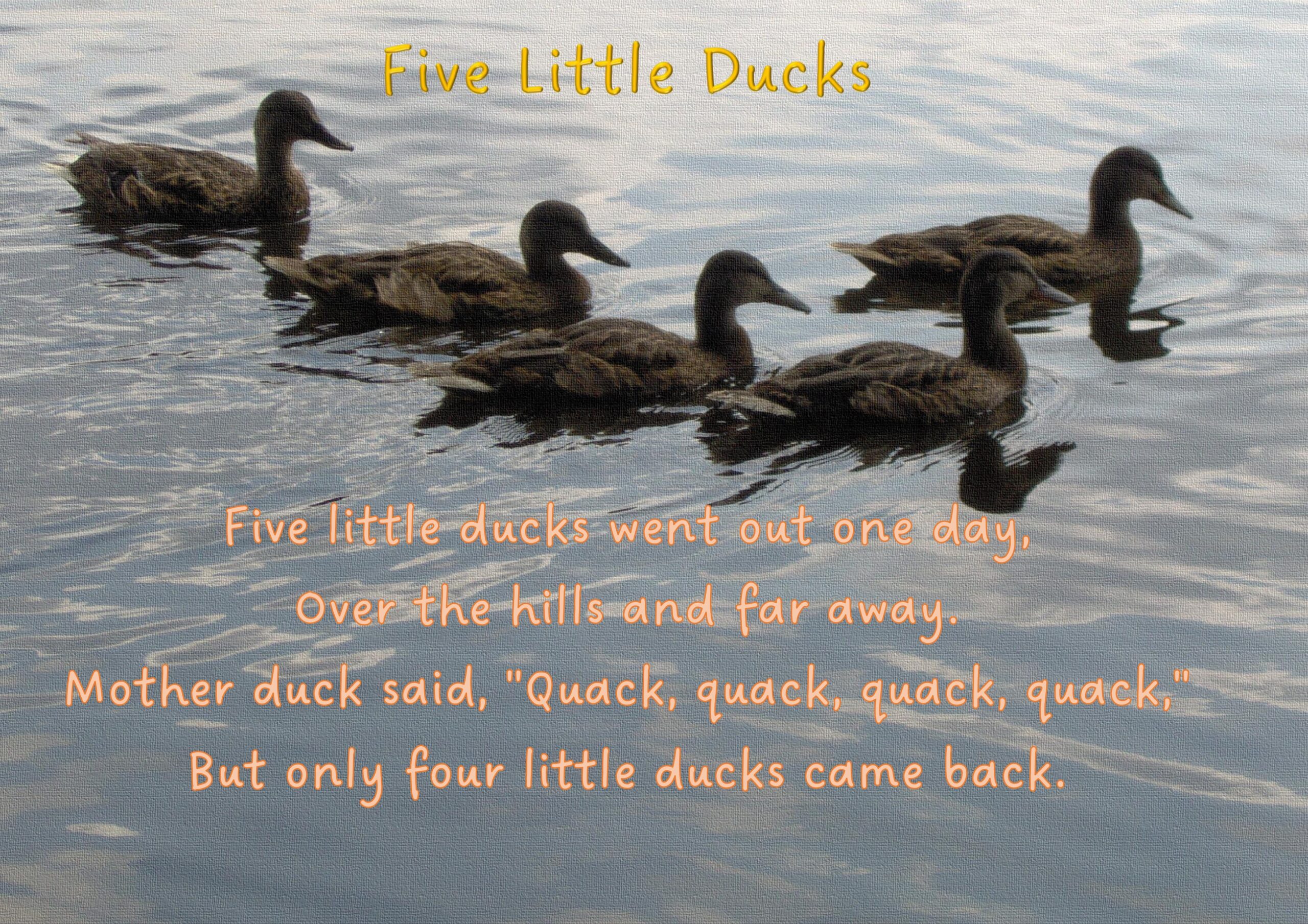 Five Little Ducks