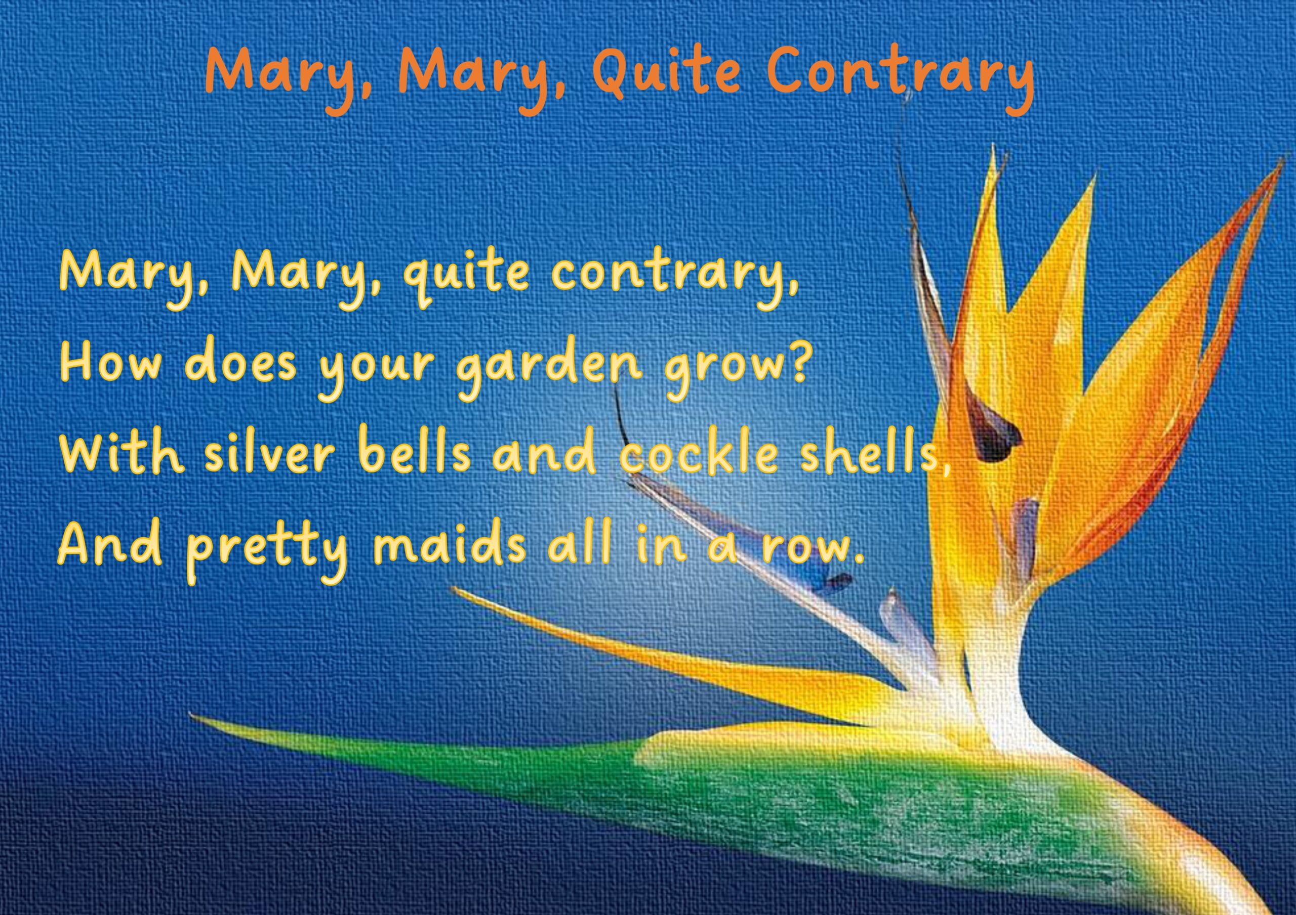 Mary Mary Quite Contrary