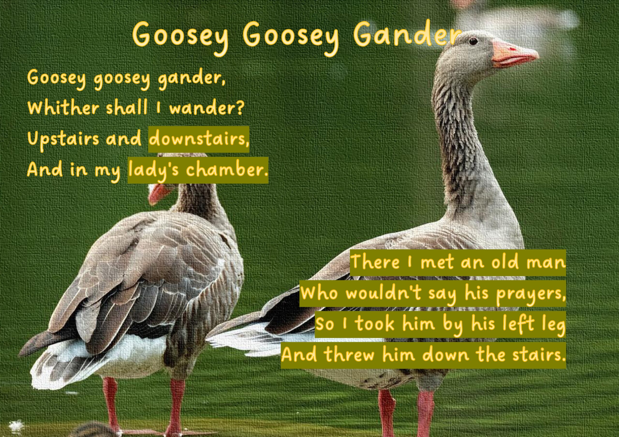 Goosey Goosey Gander